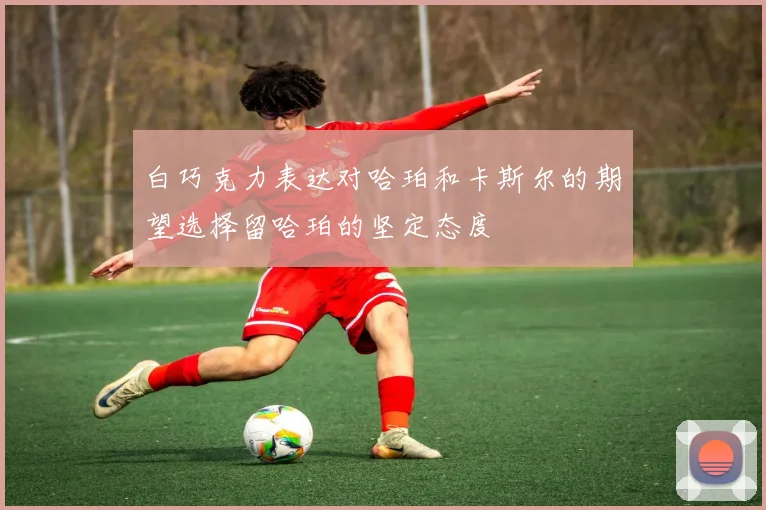 白巧克力表达对哈珀和卡斯尔的期望选择留哈珀的坚定态度