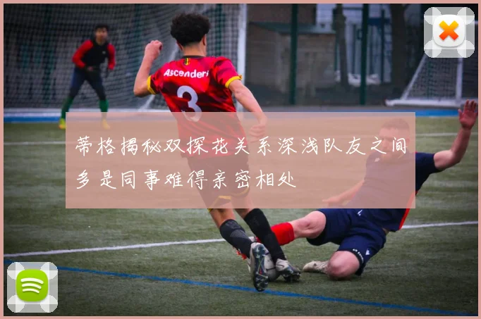 蒂格揭秘双探花关系深浅队友之间多是同事难得亲密相处